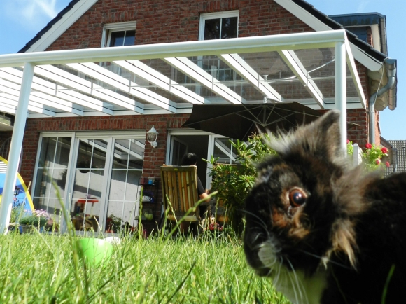 Glas Terrassenüberdachung VSG 2-teilig